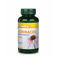 Olcsó Vitaking Echinacea 250mg Bíbor kasvirág (90) kapszula
