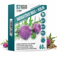 Olcsó Natur Tanya máriatövis max+kolin tabletta 60 db