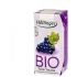 Olcsó Höllinger Bio gyümölcsital szőlő 200ml